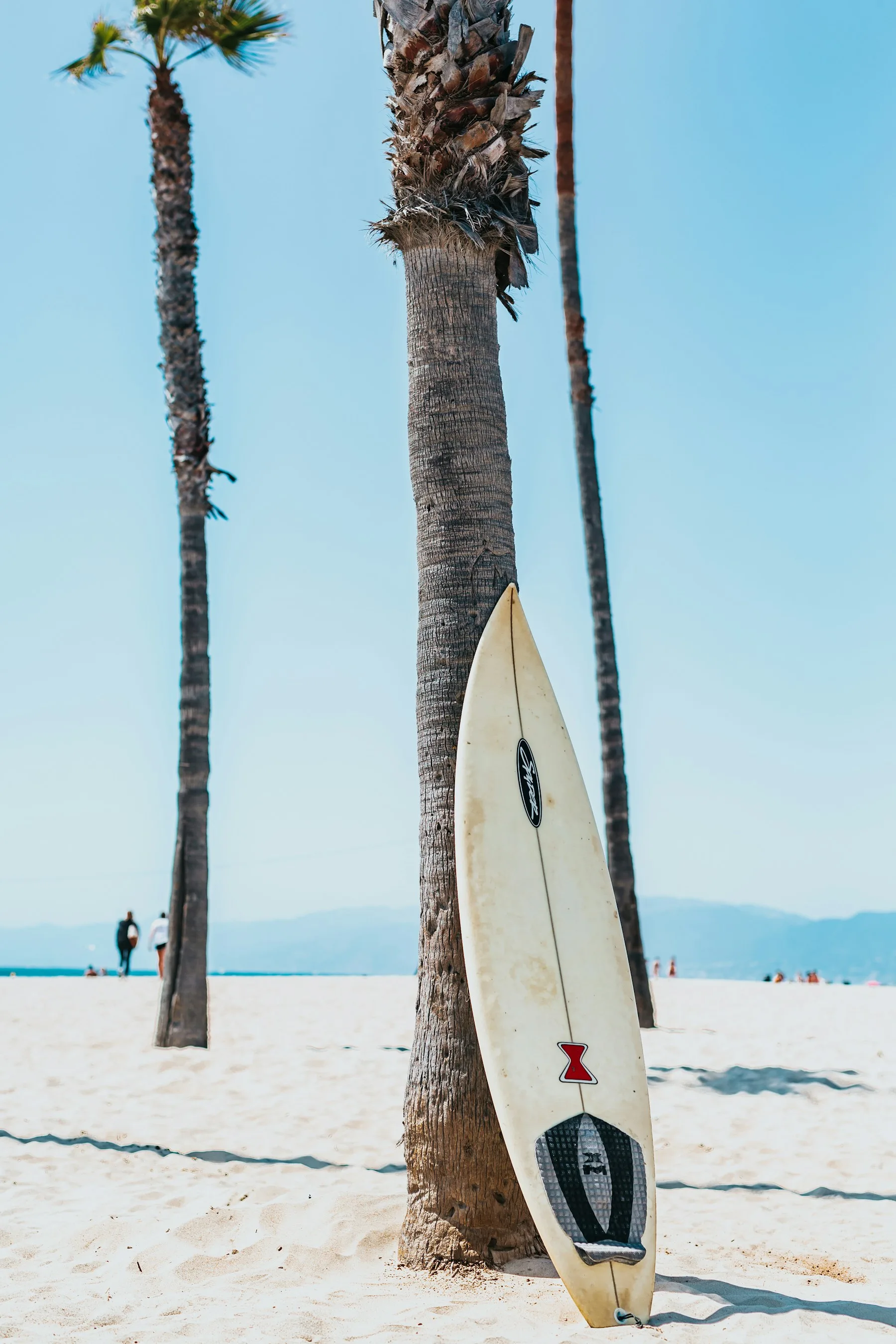 Surfboard resting beside palm trees near the beach